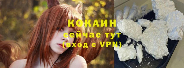 сатива Армянск