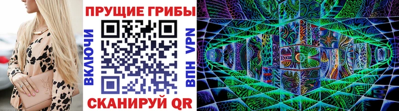 Галлюциногенные грибы прущие грибы  Спасск-Рязанский 